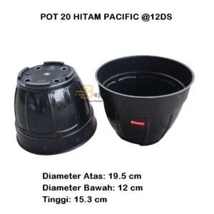 POT 20 HITAM PACIFIC BJP